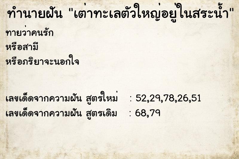 ทำนายฝัน เต่าทะเลตัวใหญ่อยู่ในสระน้ำ