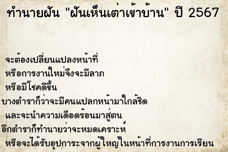 ทำนายฝัน ฝันเห็นเต่าเข้าบ้าน