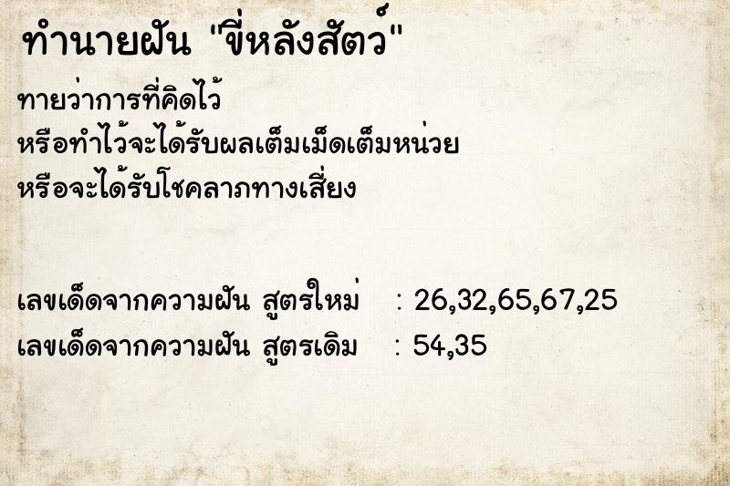 ทำนายฝัน ขี่หลังสัตว์