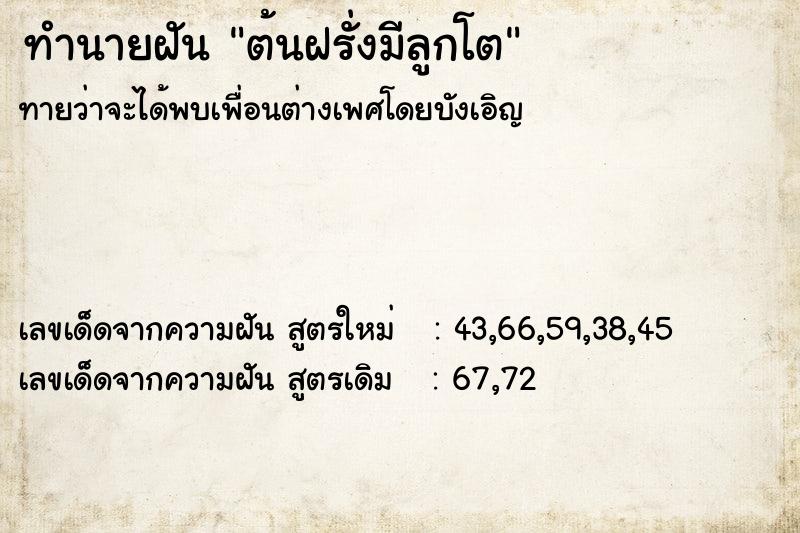 ทำนายฝัน ต้นฝรั่งมีลูกโต