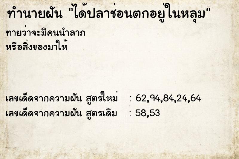 ทำนายฝัน ได้ปลาช่อนตกอยู่ในหลุม