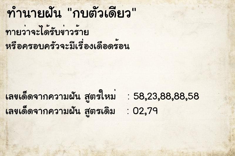 ทำนายฝัน กบตัวเดียว