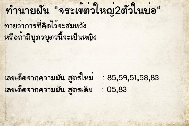 ทำนายฝัน จระเข้ต่วใหญ่2ตัวในบ่อ