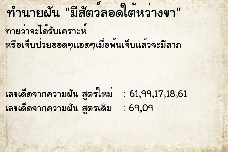 ทำนายฝัน มีสัตว์ลอดใต้หว่างขา