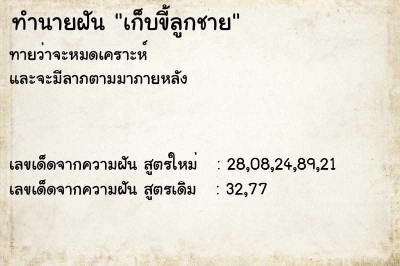 ทำนายฝัน เก็บขี้ลูกชาย