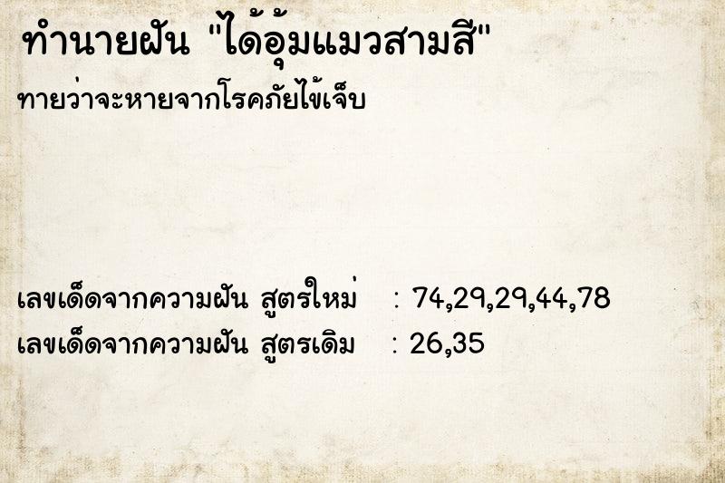 ทำนายฝัน ได้อุ้มแมวสามสี