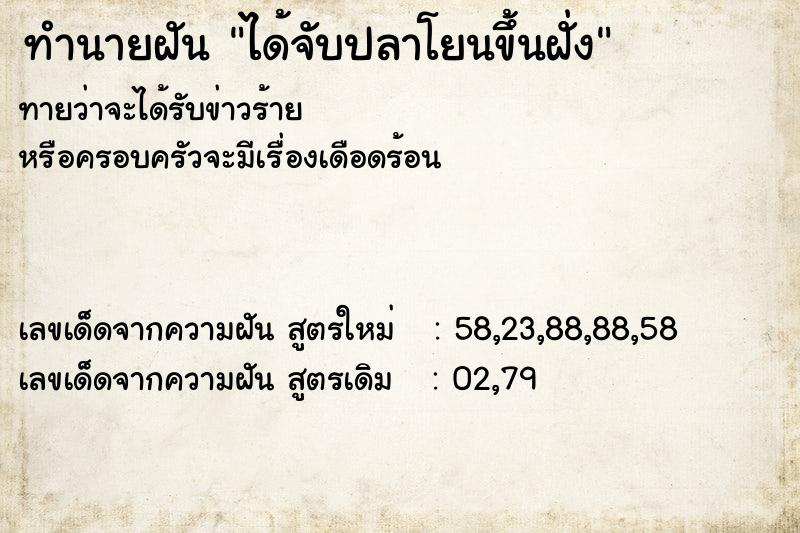 ทำนายฝัน ได้จับปลาโยนขึ้นฝั่ง