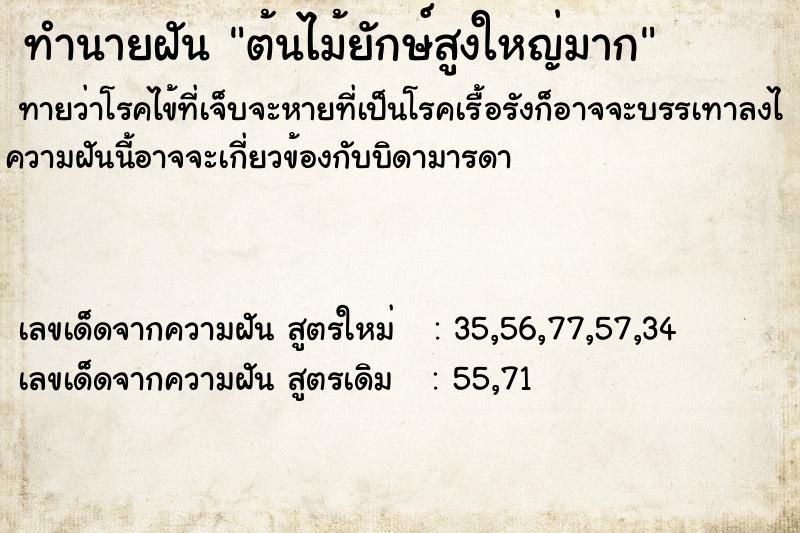 ทำนายฝัน ต้นไม้ยักษ์สูงใหญ่มาก