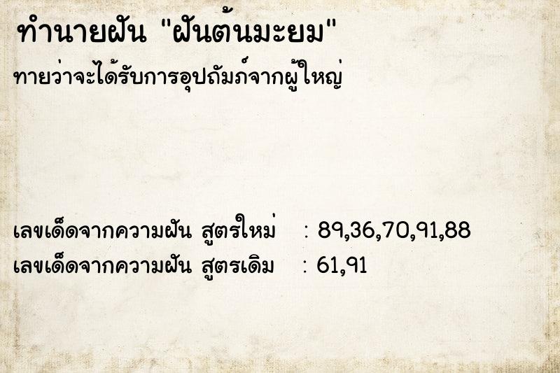 ทำนายฝัน ฝันต้นมะยม