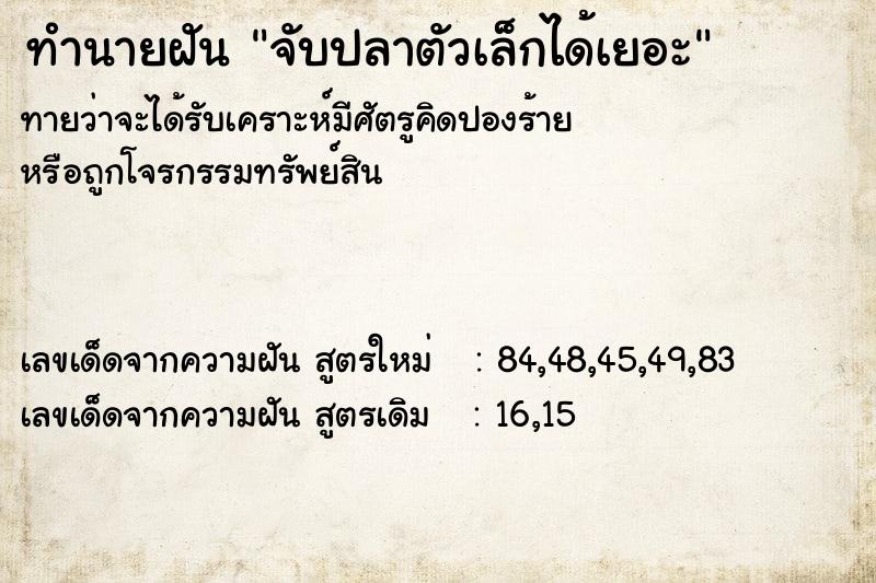 ทำนายฝัน จับปลาตัวเล็กได้เยอะ