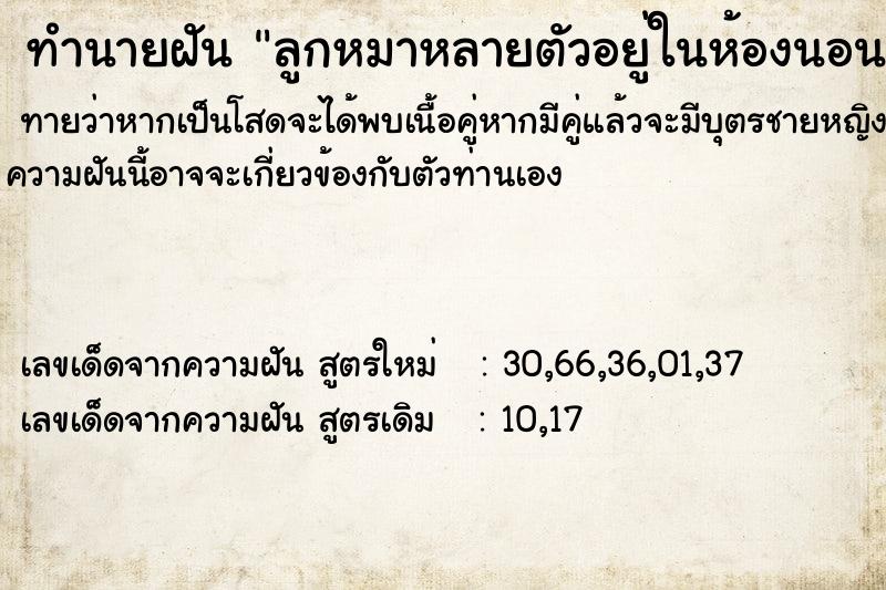 ทำนายฝัน ลูกหมาหลายตัวอยู่ในห้องนอน