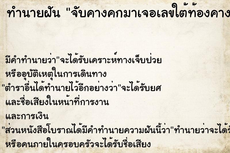 ทำนายฝัน จับคางคกมาเจอเลขใต้ท้องคางคก