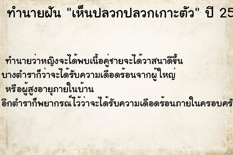 ทำนายฝัน เห็นปลวกปลวกเกาะตัว