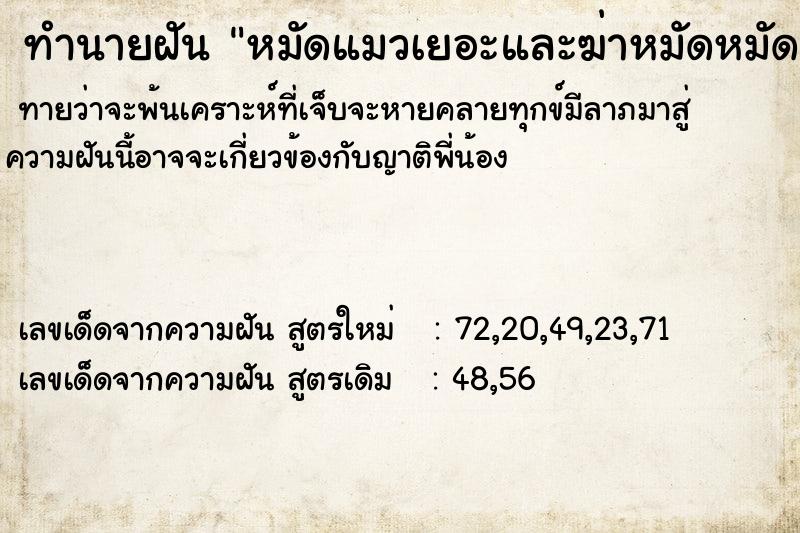 ทำนายฝัน หมัดแมวเยอะและฆ่าหมัดหมัดแมวเยอะและฆ่าหมัด