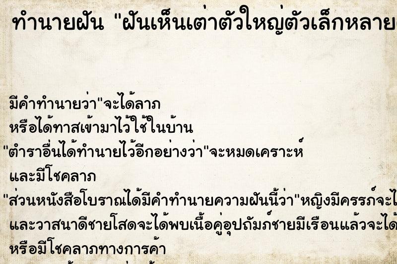 ทำนายฝัน ฝันเห็นเต่าตัวใหญ่ตัวเล็กหลายตัว