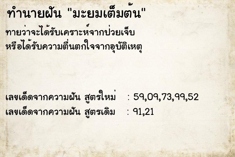 ทำนายฝัน มะยมเต็มต้น