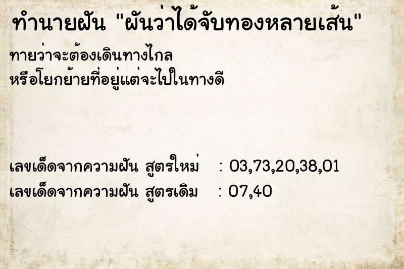 ทำนายฝัน ผันว่าได้จับทองหลายเส้น