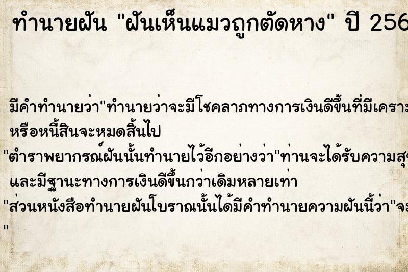 ทำนายฝัน ฝันเห็นแมวถูกตัดหาง