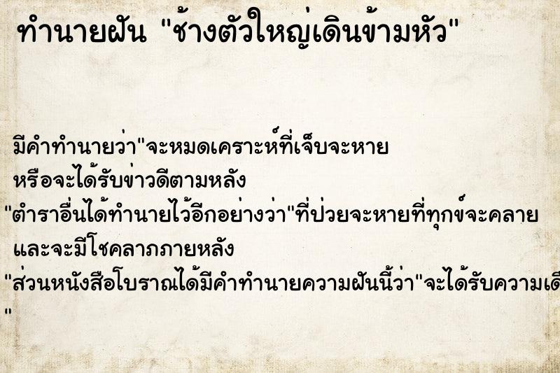 ทำนายฝัน ช้างตัวใหญ่เดินข้ามหัว  เลขนำโชค 