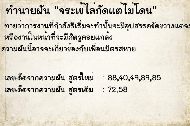 ทำนายฝัน จระเข้ไล่กัดแต่ไม่โดน  เลขนำโชค 