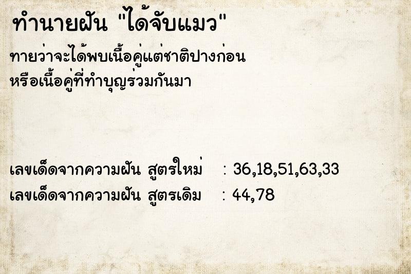 ทำนายฝัน ได้จับแมว