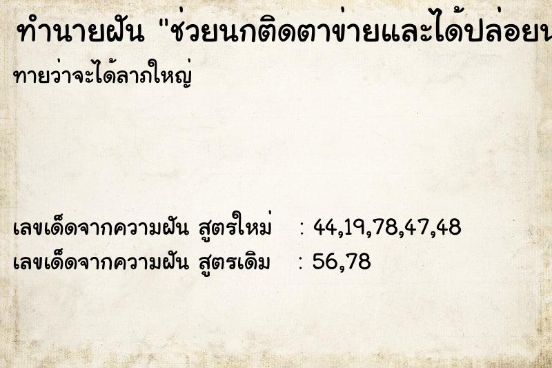 ทำนายฝัน ช่วยนกติดตาข่ายและได้ปล่อยนกไป