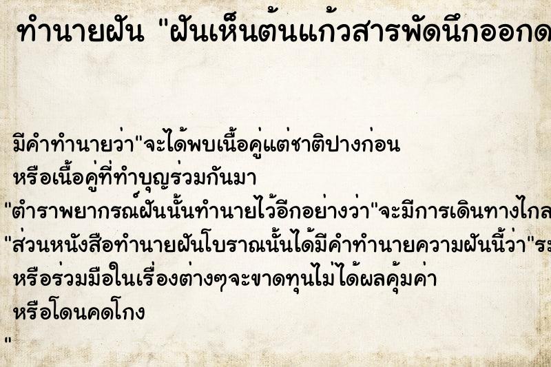 ทำนายฝัน ฝันเห็นต้นแก้วสารพัดนึกออกดอกที่หน้าบ้านสองดอก