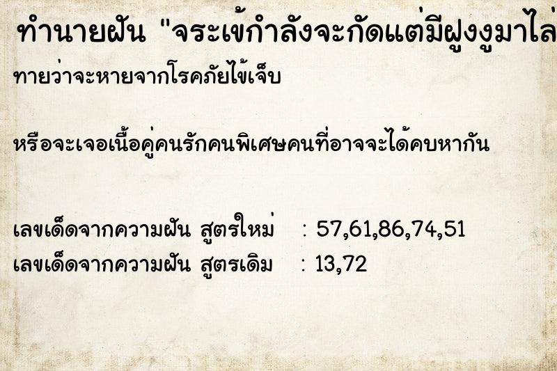 ทำนายฝัน จระเข้กำลังจะกัดแต่มีฝูงงูมาไล่