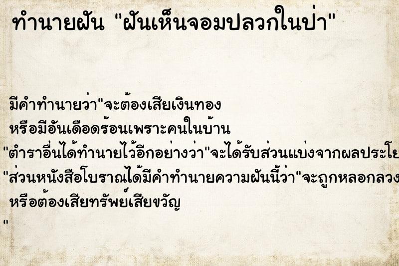 ทำนายฝัน ฝันเห็นจอมปลวกในป่า