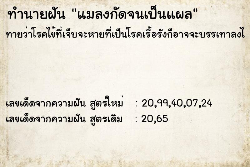 ทำนายฝัน แมลงกัดจนเป็นแผล  เลขนำโชค 