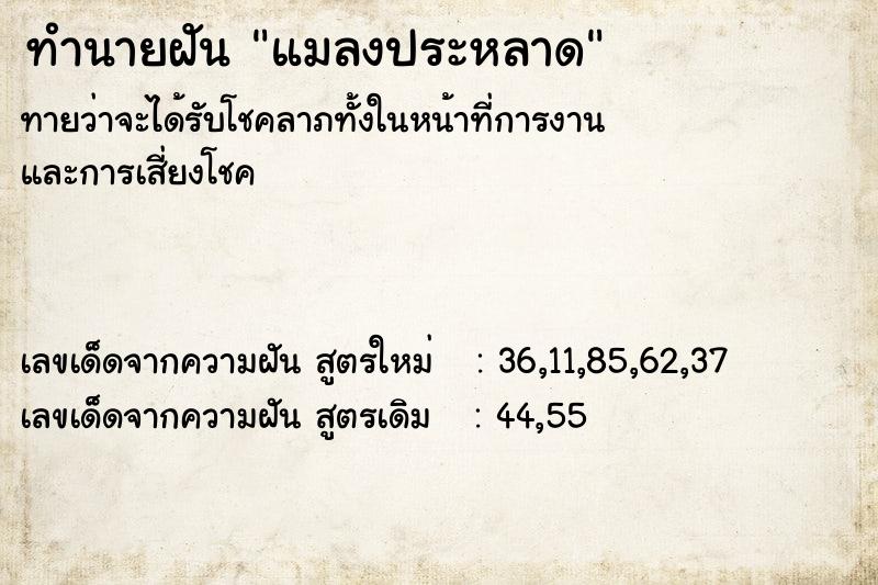 ทำนายฝัน แมลงประหลาด  เลขนำโชค 