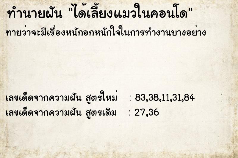 ทำนายฝัน ได้เลี้ยงแมวในคอนโด