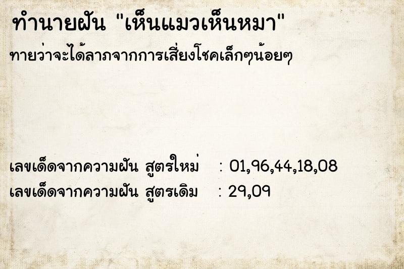 ทำนายฝัน เห็นแมวเห็นหมา