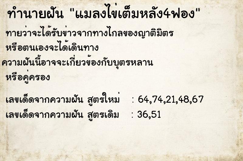 ทำนายฝัน แมลงไข่เต็มหลัง4ฟอง