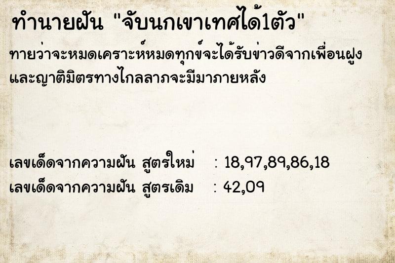 ทำนายฝัน จับนกเขาเทศได้1ตัว