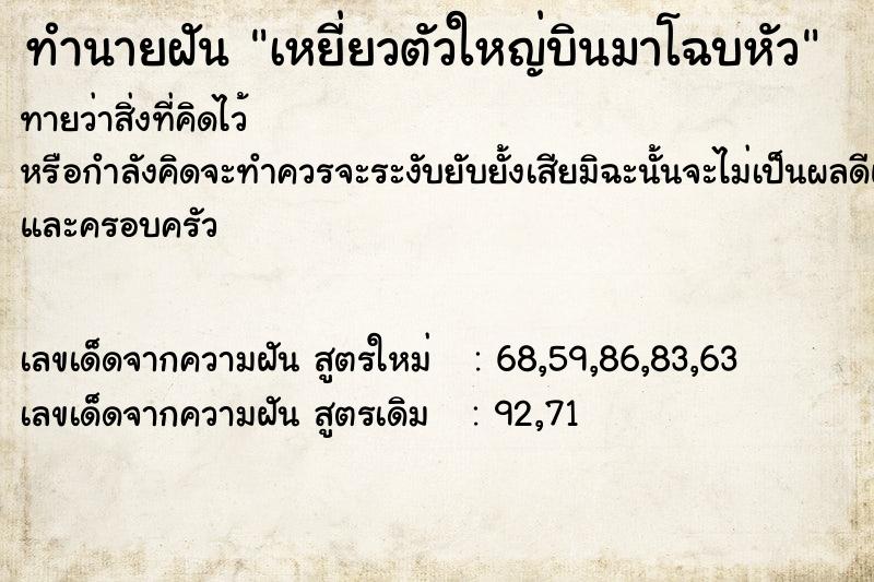 ทำนายฝัน เหยี่ยวตัวใหญ่บินมาโฉบหัว