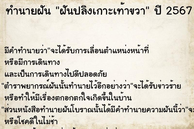 ทำนายฝัน ฝันปลิงเกาะเท้าขวา  เลขนำโชค 