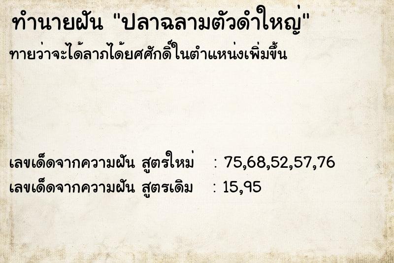 ทำนายฝัน ปลาฉลามตัวดำใหญ่