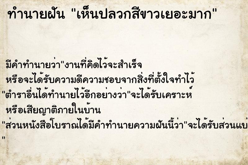 ทำนายฝัน เห็นปลวกสีขาวเยอะมาก