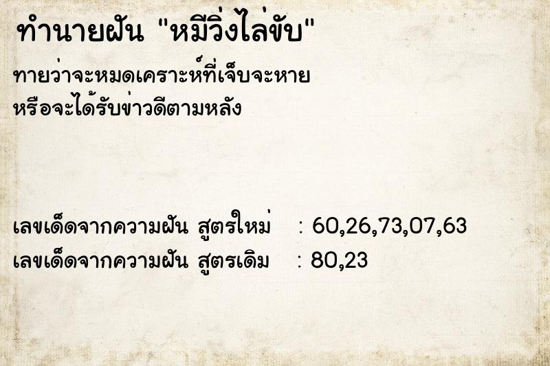 ทำนายฝัน หมีวิ่งไล่ขับ