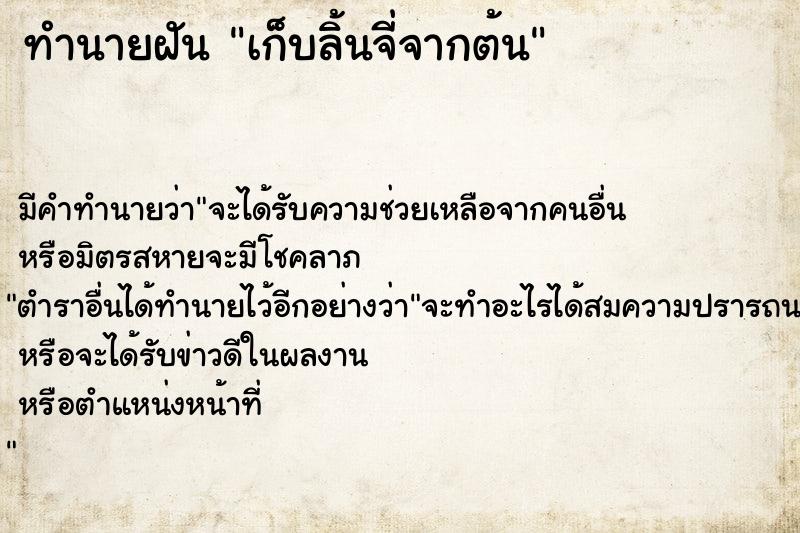 ทำนายฝัน เก็บลิ้นจี่จากต้น