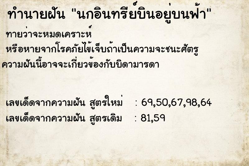 ทำนายฝัน นกอินทรีย์บินอยู่บนฟ้า  เลขนำโชค 