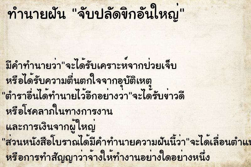 ทำนายฝัน จับปลัดขิกอันใหญ่