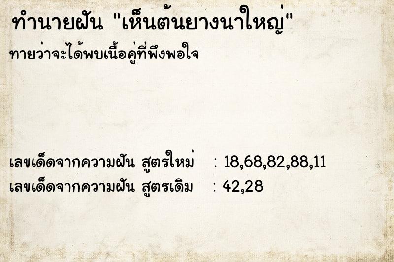 ทำนายฝัน เห็นต้นยางนาใหญ่