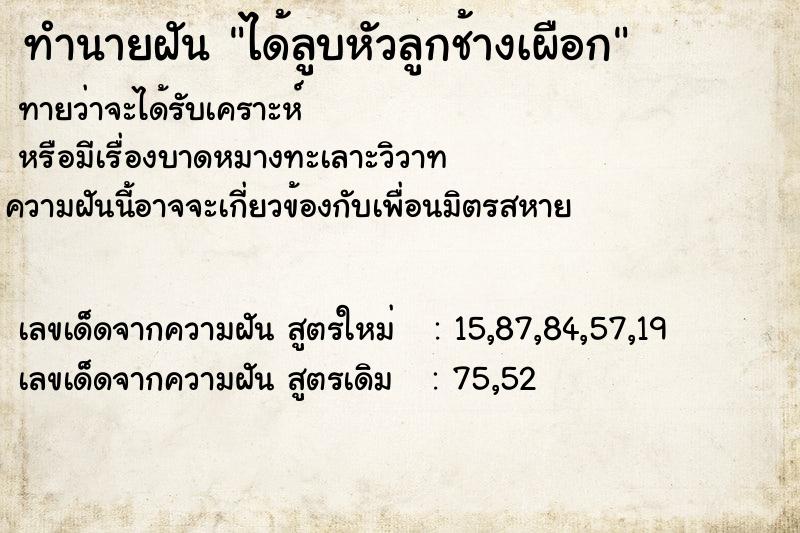 ทำนายฝัน ได้ลูบหัวลูกช้างเผือก