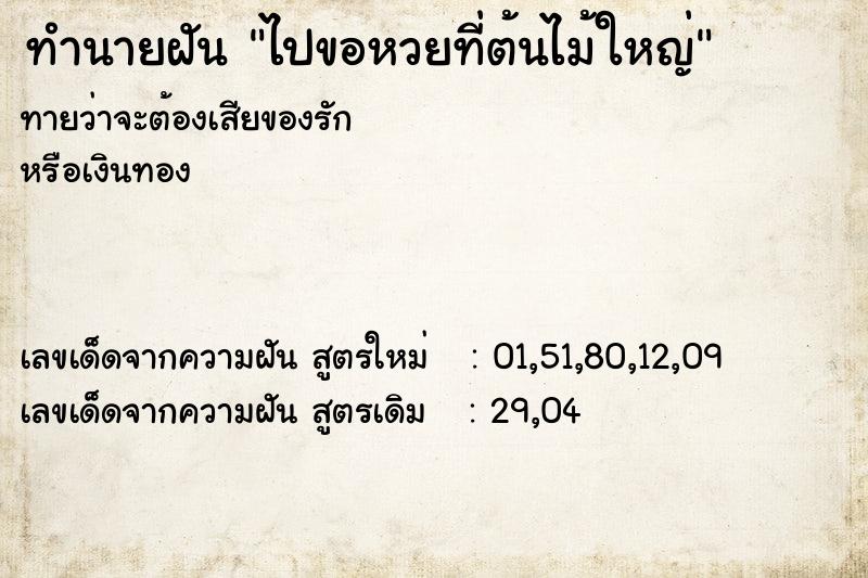 ทำนายฝัน ไปขอหวยที่ต้นไม้ใหญ่