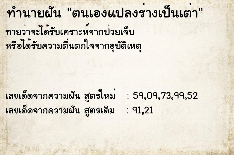 ทำนายฝัน ตนเองแปลงร่างเป็นเต่า