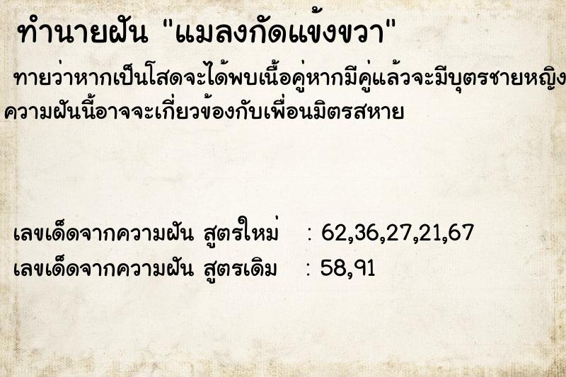 ทำนายฝัน แมลงกัดแข้งขวา