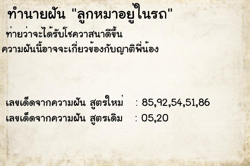 ทำนายฝัน ลูกหมาอยู่ในรถ