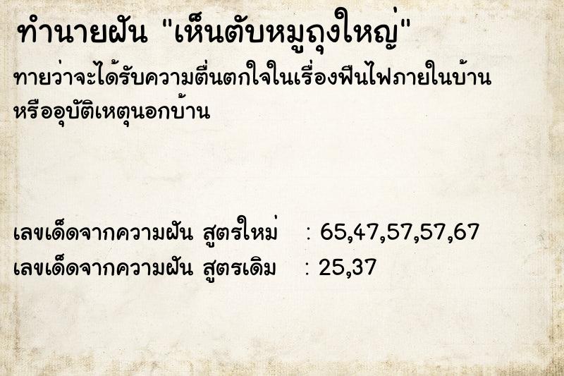 ทำนายฝัน เห็นตับหมูถุงใหญ่  เลขนำโชค 